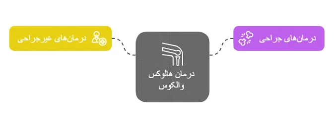 هالوکس والکوس