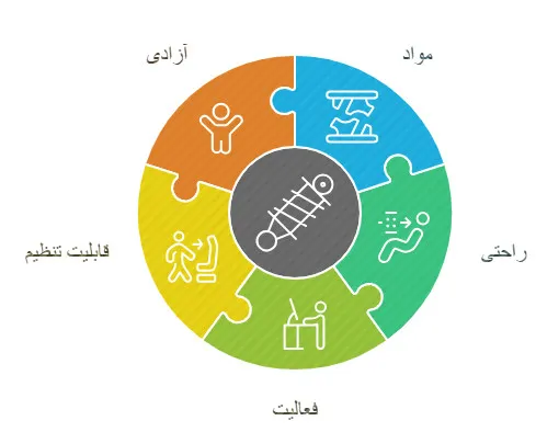بریس کایفولوژیک