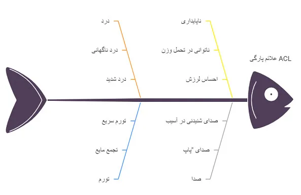 پارگی لیگامان متقاطع زانو