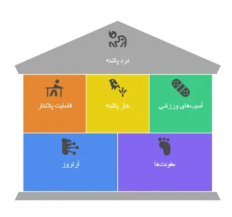 درد پاشنه