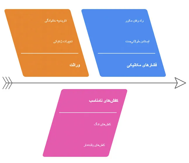هالوکس والکوس