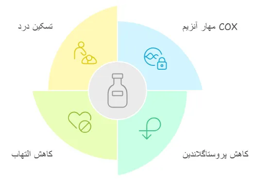 اسپاینومد