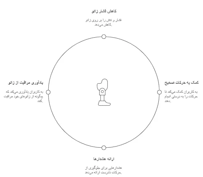 ژنوولگوم