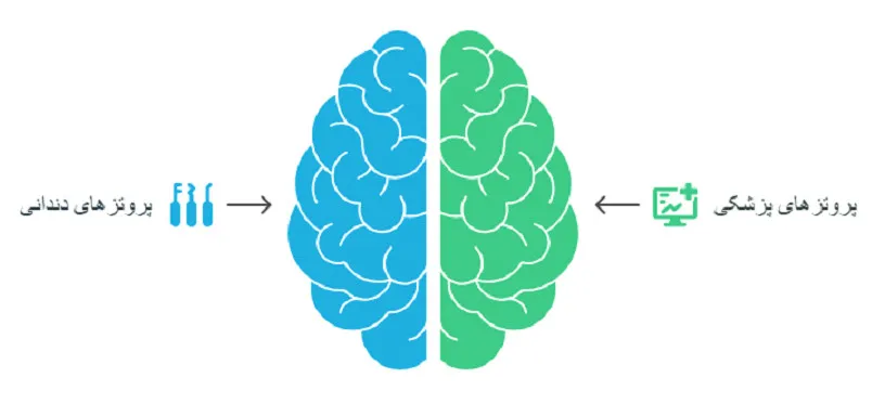 لاینر آلپس پروتز